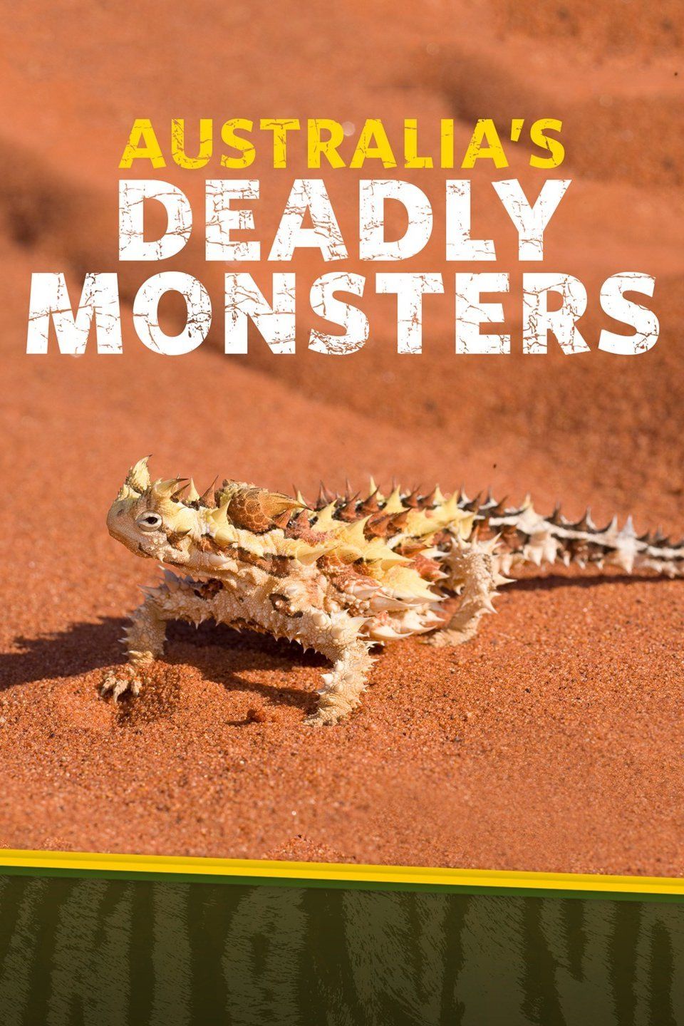 Deadly Australians (2017)